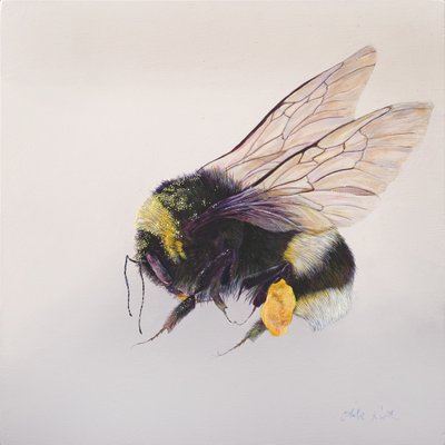 Pollen sac 2, 2011 (akryl på træ) af Odile Kidd