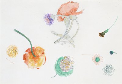  af Odilon Redon