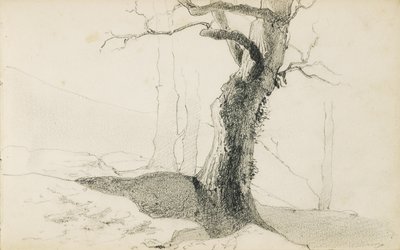 Tegning fra et album med titlen "Baskerlandet", 1862-63 af Odilon Redon