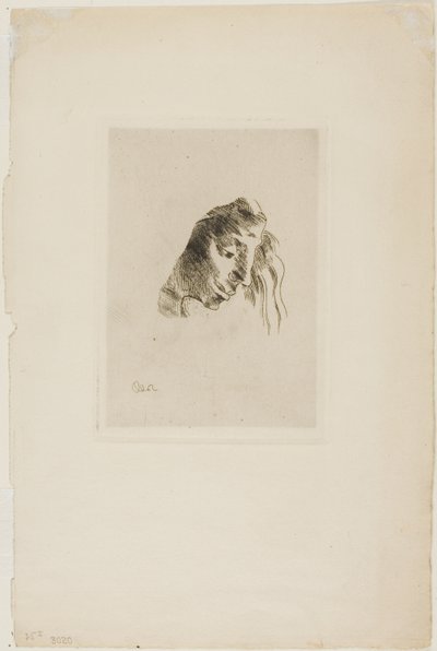 Fra bøger af Odilon Redon