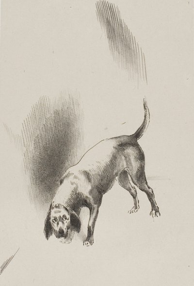 Han [fortællerens hund] holdt øjnene rettet mod mig med et så mærkeligt blik, plade 3 af 6 af Odilon Redon