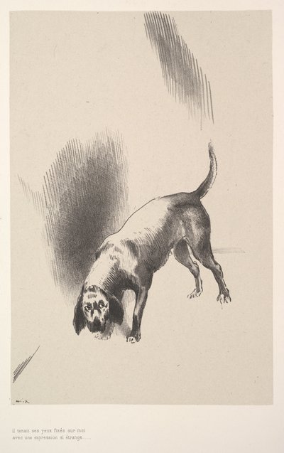 Han stirrede blikket på mig med et udtryk, der var så mærkeligt, 1896. af Odilon Redon