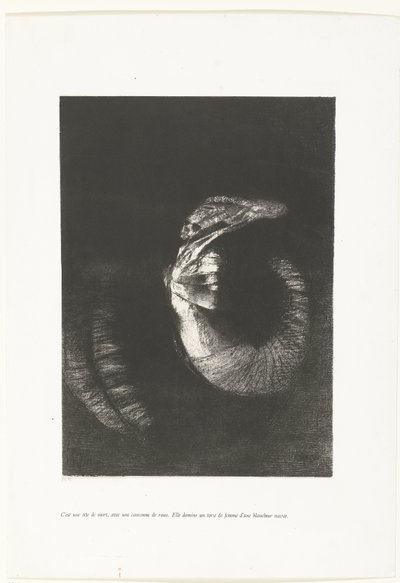 Det er en doodshoofd med en krans af rozen Det er et kranium med en krone af roser. Hun dominerer en kvindes torso af perlehvidhed (titel på objekt) Temptation of Saint Anthony (1) (serietitel) Verzoeking van de heilige Antonius (se af Odilon Redon