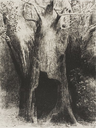 Jeg kastede mig ud i ensomhed. I Dwelt in the Tree behind Me, plade 9 af 24 af Odilon Redon