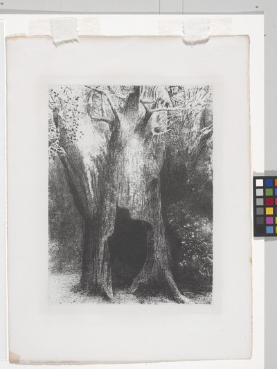 I Sunk Into Solitude (litografi på kinesisk applikationspapir) af Odilon Redon
