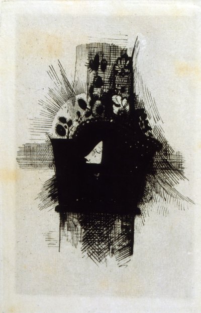 De onde blomster af Odilon Redon