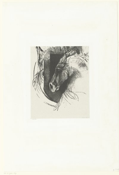 kamp ros Le Courcier (titel på objekt) af Odilon Redon