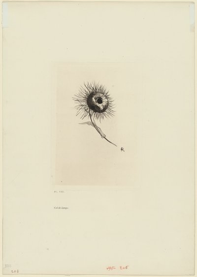 Halestykke, plade 9 af 9 af Odilon Redon