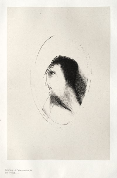 Frontalbenets Bredde og Fladhed af Odilon Redon