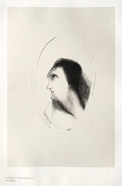 The Haunted House: The Width and Flatness of the Frontal [Bone], 1896. af Odilon Redon