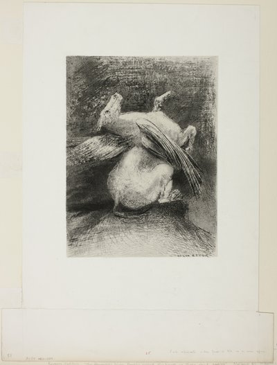 Den impotente vinge løftede ikke dyret ind i det sorte rum, plade 7 af 8 fra "Les Origines" af Odilon Redon