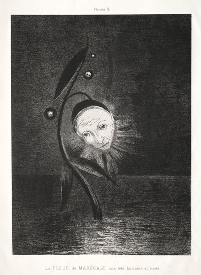 Marskblomsten, et trist menneskehoved af Odilon Redon