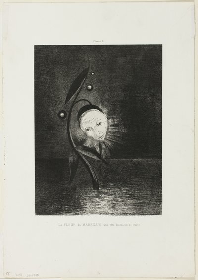 The Marsh Flower, a Sad Human Head, plade 2 af 6 af Odilon Redon
