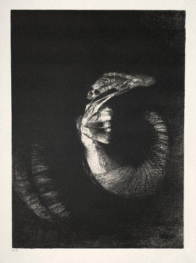 The Temptation of Saint Anthony First Series: It Is a Skull Wreathed with Roses..., 1888. af Odilon Redon