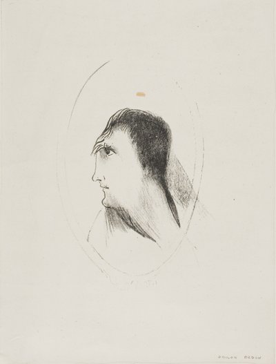 Bredden og fladheden af [den] frontale [knogle], plade 6 af 6 af Odilon Redon