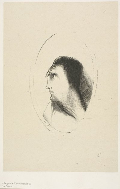 Bredden og fladheden af [den] frontale [knogle], plade 6 af 6 af Odilon Redon