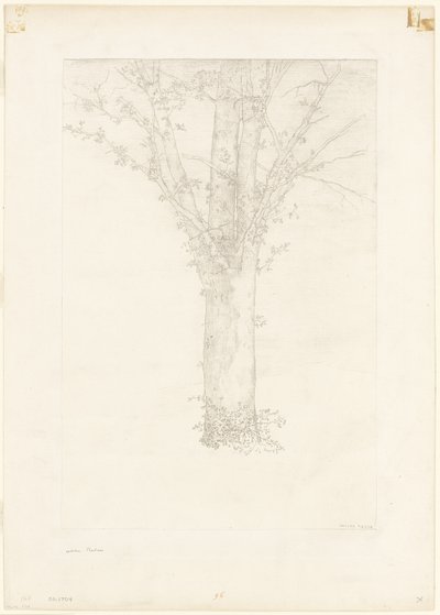 Træ af Odilon Redon