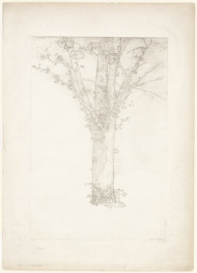 Træ af Odilon Redon