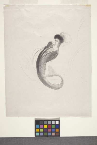 Uden titel (litografi på kinesisk volant papir) af Odilon Redon