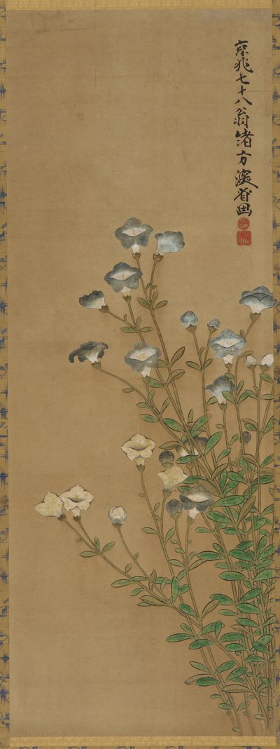 Blå og hvide blomster på slanke stilke, Edo-periode, 1700-1800-tallet af Ogata Kenzan