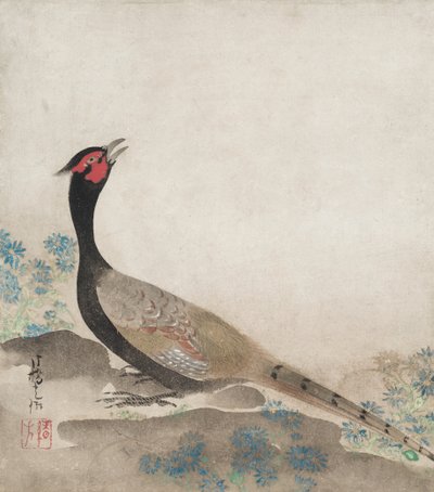  af Ogata Korin