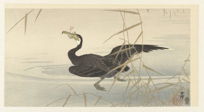 Skarv med fisk af Ohara Koson