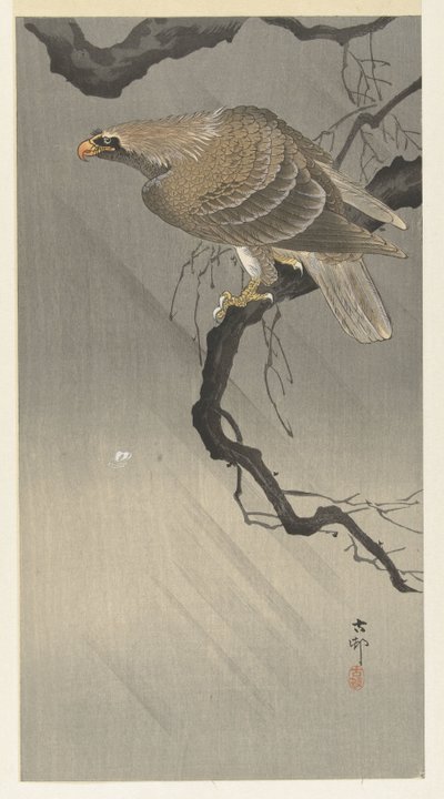 ørn på gren af Ohara Koson