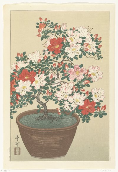 Blomstrende azalea i brun potte af Ohara Koson