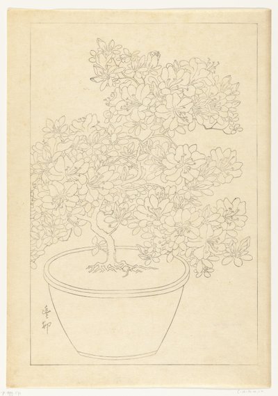 Blomstrende azalea i potte af Ohara Koson