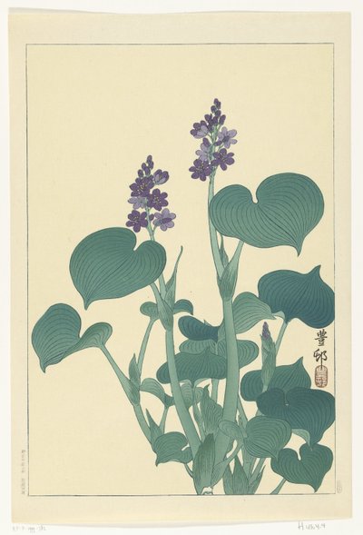 Blomstrende hosta af Ohara Koson