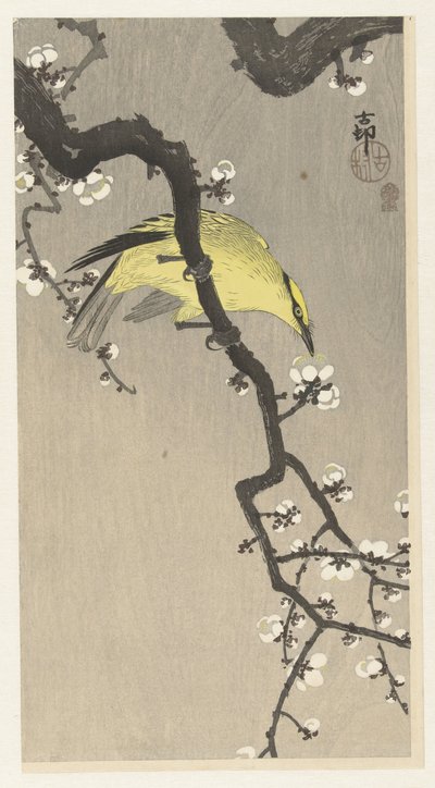 Kinesisk oriole på blommeblomstgren af Ohara Koson