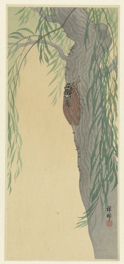 Cikade på træ af Ohara Koson