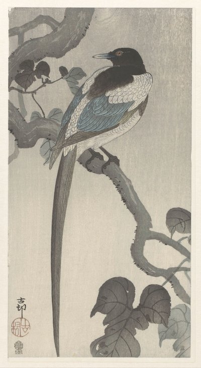 Magpie på trægren af Ohara Koson