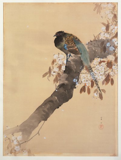 Fasan på kirsebærblomstgren af Ohara Koson