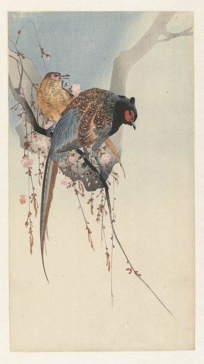 Fasanpar og blommeblomst af Ohara Koson