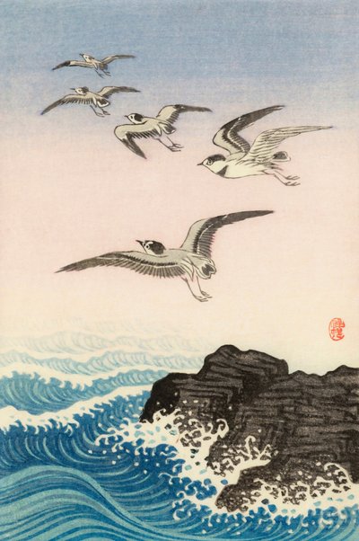 Five Seagulls Above a Rock in the Sea, 20. århundrede (japansk tryk) af Ohara Koson
