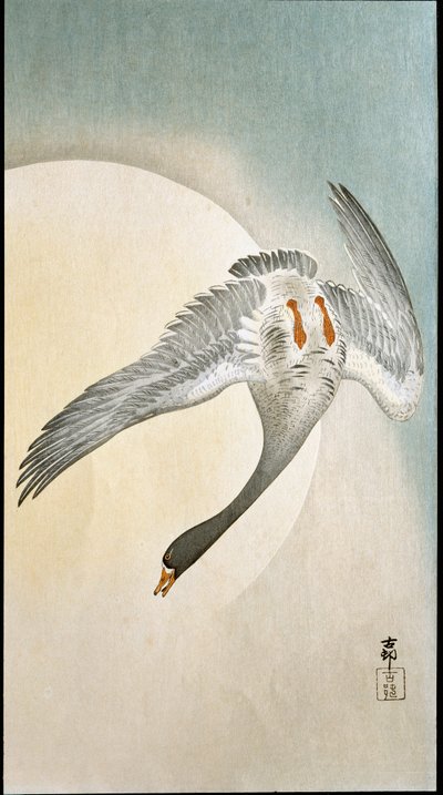 Andeflyvning i måneskin Xylografi og japansk tryk af Ohara Koson (1877-1945) 1908 Privatsamling DR af Ohara Koson