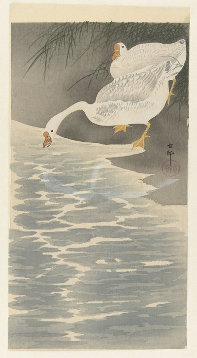 Gæs på kysten af Ohara Koson
