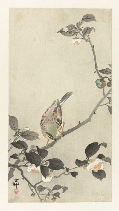 Bunting på blomstrende gren af Ohara Koson