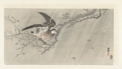 Grå stær i storm af Ohara Koson