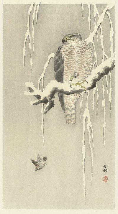 Høg med fanget græsspurv. af Ohara Koson