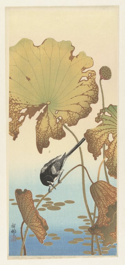 Japansk vipstjert på lotusplante af Ohara Koson