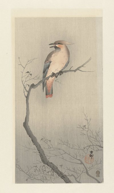Japansk voksvinge på gren af Ohara Koson