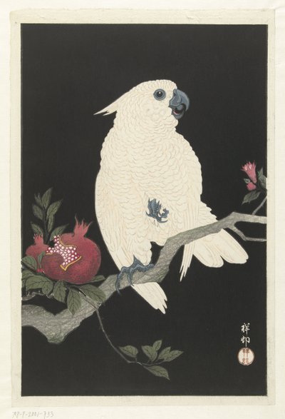 Kakadu og granatæble af Ohara Koson