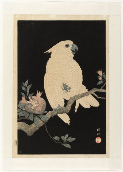 Kakadu med granatæble af Ohara Koson