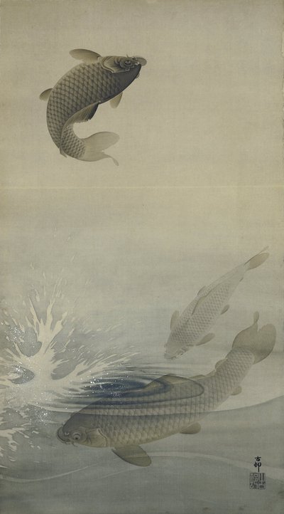 karpe af Ohara Koson