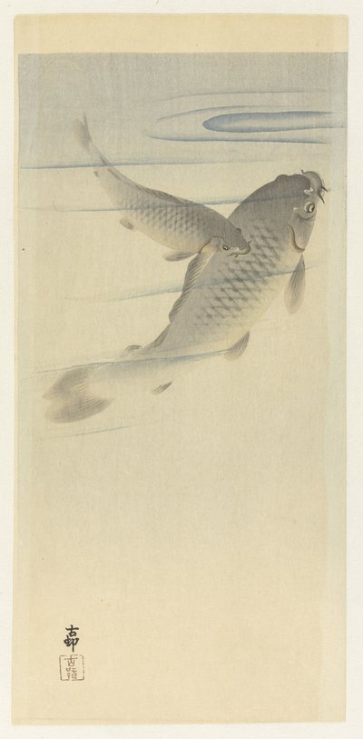 karpe af Ohara Koson