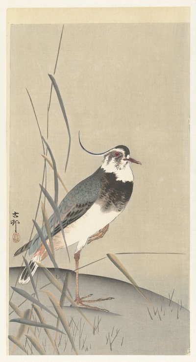 Vibe og siv af Ohara Koson