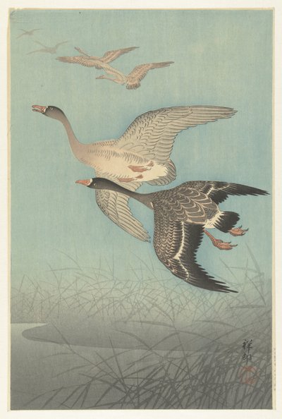 Blisgæs i flugt af Ohara Koson