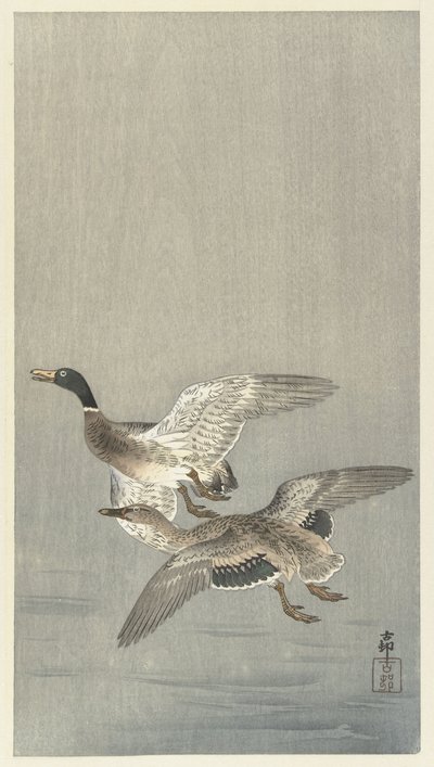 Par ænder af Ohara Koson